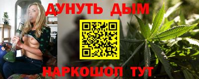 гашик Донской