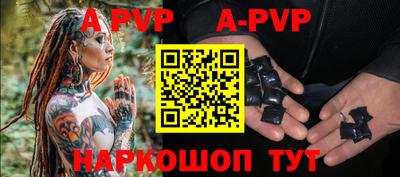 гашик Донской
