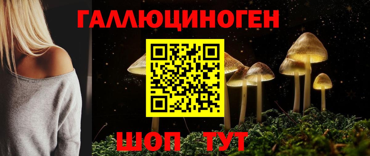 Псилоцибиновые грибы прущие грибы Лабытнанги